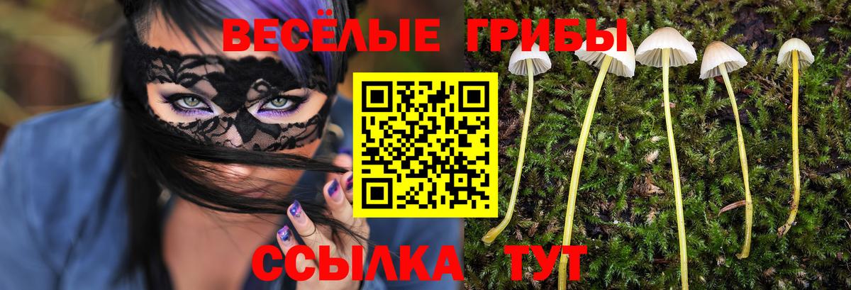 Киселёвск  Галлюциногенные грибы Psilocybe  Галлюциногенные грибы ЛСД  Вход с VPN 